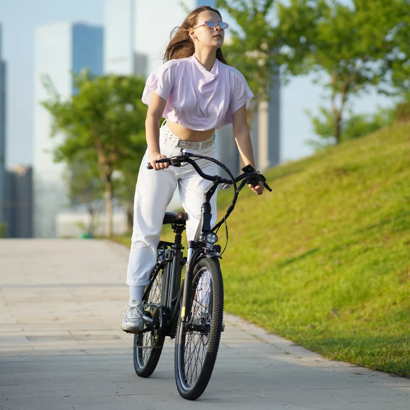 U2 Tiefeinsteiger E-Bike Damen Und Herren