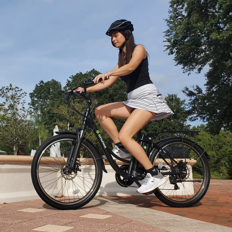 U2 Tiefeinsteiger E-Bike Damen Und Herren