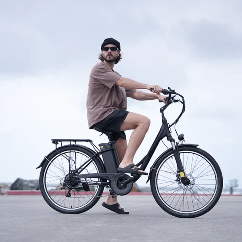 U2 Tiefeinsteiger E-Bike Damen Und Herren