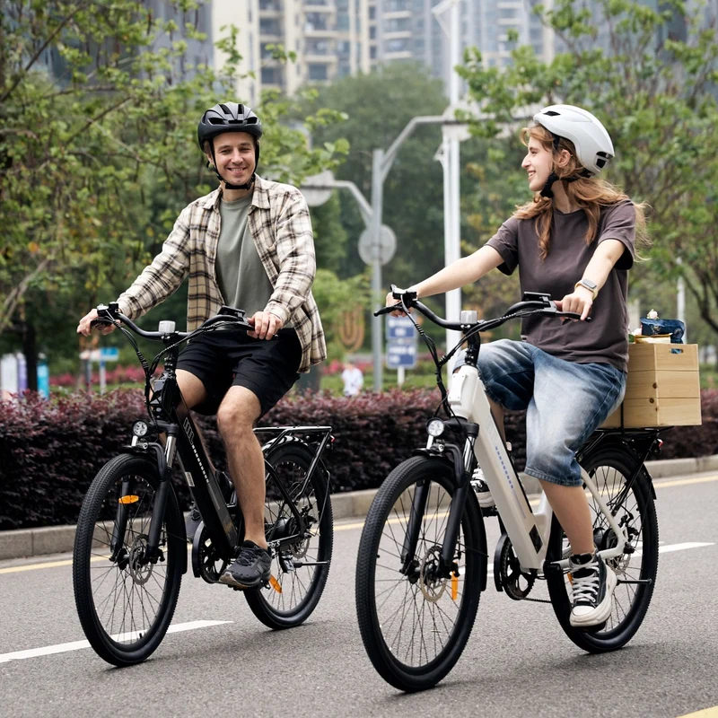 UcityS Pendler Tiefeinsteiger E-Bike