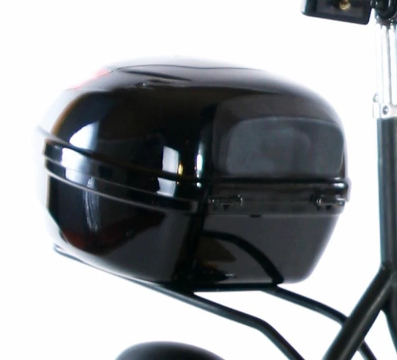 ENEWAY TopCase S für Revoluzzer & E-City-Roller & Forca-Sports E-Scooter E-Roller