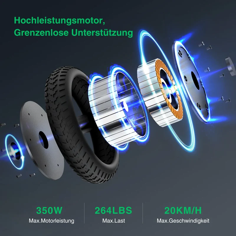 isinwheel E9 Ultraleicht Kompakter E-Scooter Mit Straßenzulassung (ABE, eKFV)