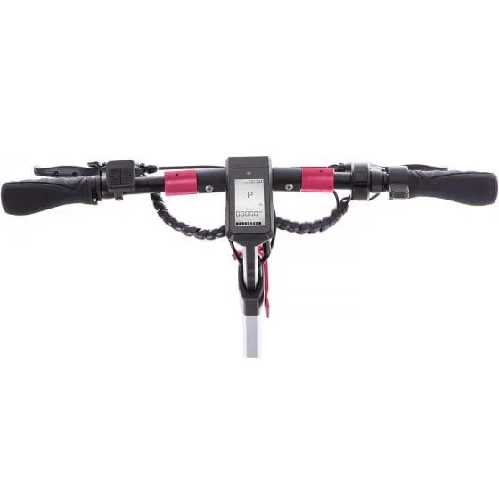 SXT Buddy PRO - eKFV Version - STVO zugelassen