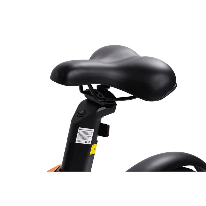 Kukirin (Kugoo Kirin) V2 Elektrofahrrad
