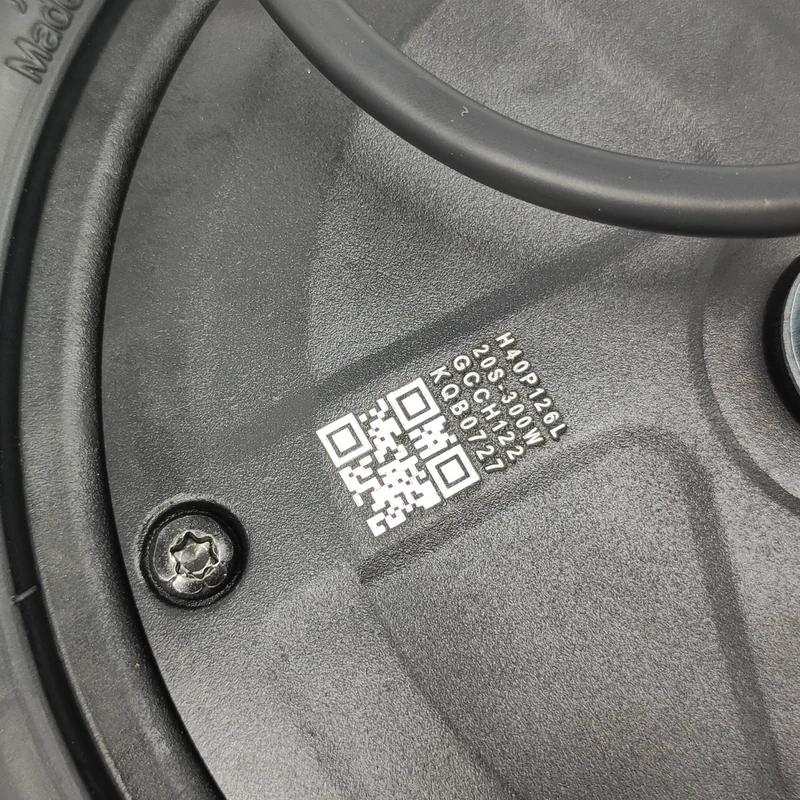 Segway Ninebot F25 F30 10,125 Zoll Motor Original