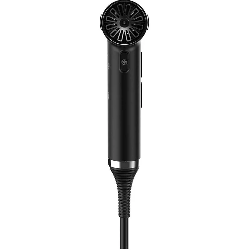 Iq Professional Perfetto Dryer In Black