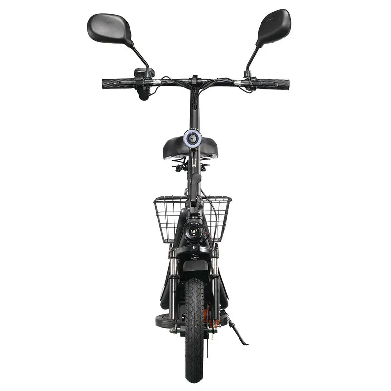 TWOFISH M5 Pro-E Electric Scooter 12" Tire 40km/h 500W 48V 13Ah Battery