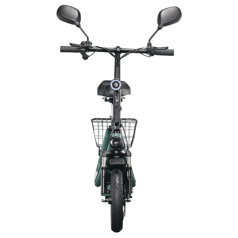 TWOFISH M5 Pro-E Electric Scooter 12" Tire 40km/h 500W 48V 13Ah Battery