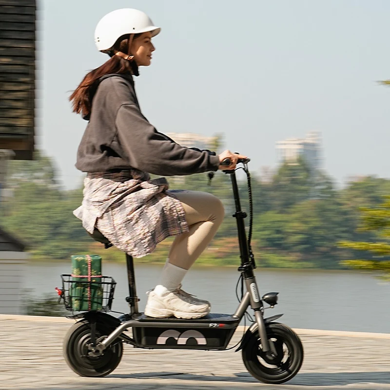iScooter F2 Electric Scooter With Basket 10" Tires 500W 36V 7.8AH Battery