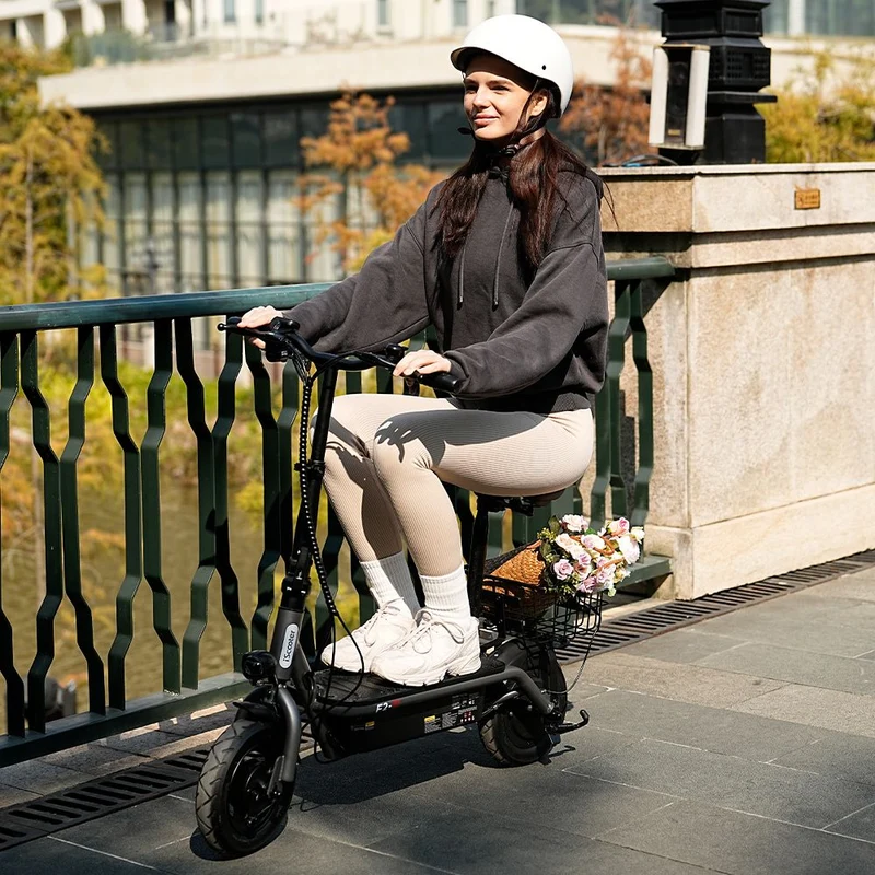 iScooter F2 Electric Scooter With Basket 10" Tires 500W 36V 7.8AH Battery