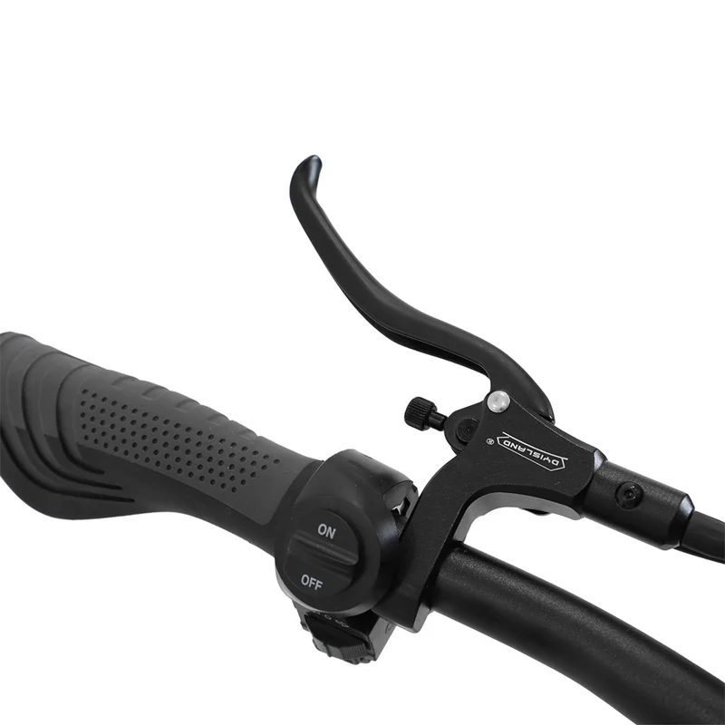 OOTD T30 Electric Scooter 13" Tires Dual 1600W Motors 60V 31.2Ah Battery