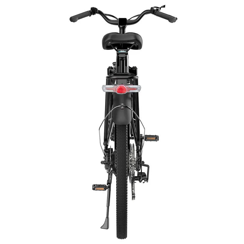 ESKUTE ES-26-LJ Electric Bike 26" Tires 250W Motor 36V 20Ah Battery