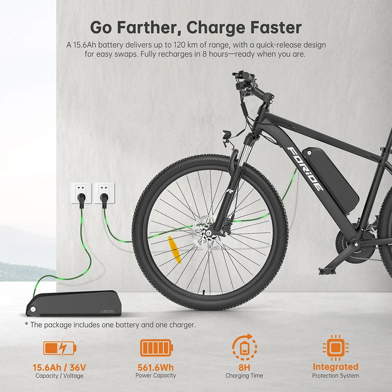 Foride Xtremer 2 Electric Bike 250W Motor 36V 15.6Ah Battery