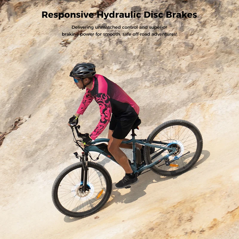 Foride Xtremer 3 Electric Bike 29" Tires 250W Motor 48V 12Ah Battery