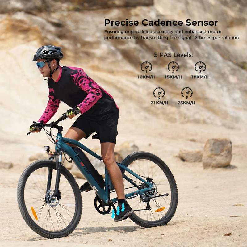 Foride Xtremer 3 Electric Bike 29" Tires 250W Motor 48V 12Ah Battery