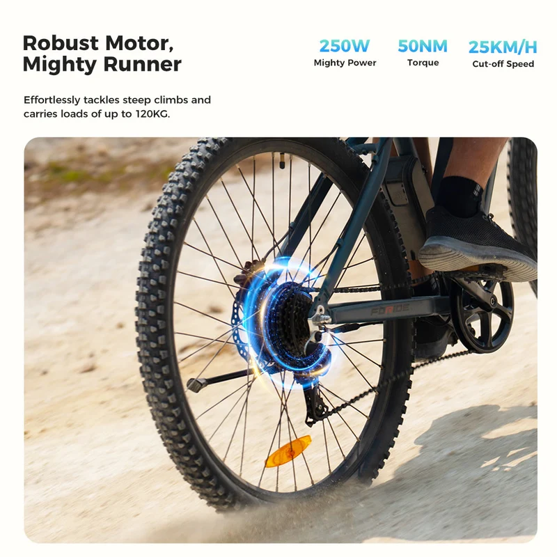 Foride Xtremer 3 Electric Bike 29" Tires 250W Motor 48V 12Ah Battery