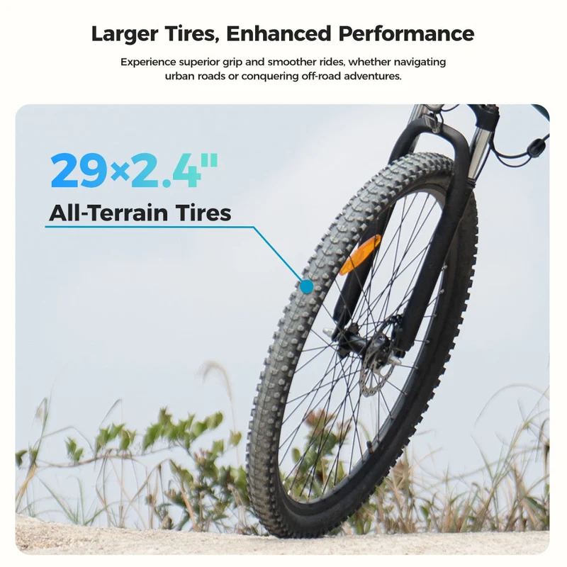 Foride Xtremer 3 Electric Bike 29" Tires 250W Motor 48V 12Ah Battery