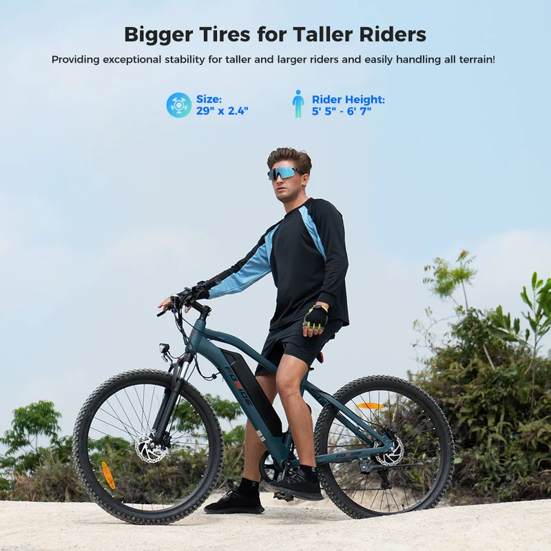 Foride Xtremer 3 Electric Bike 29" Tires 250W Motor 48V 12Ah Battery