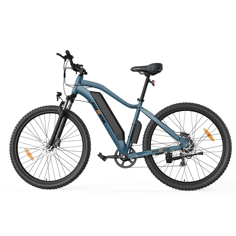 Foride Xtremer 3 Electric Bike 29" Tires 250W Motor 48V 12Ah Battery