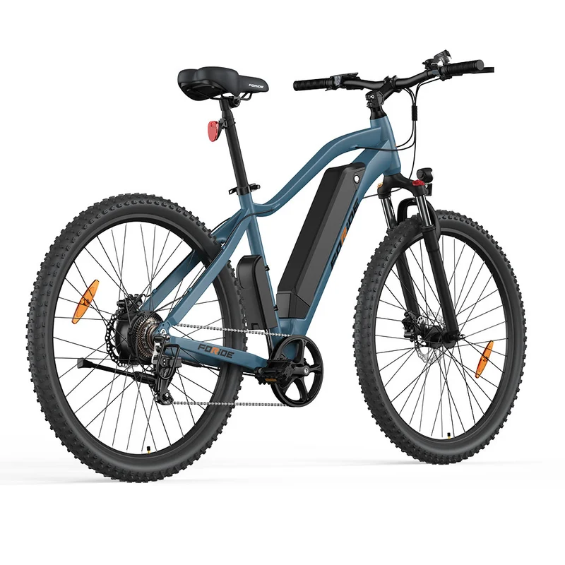Foride Xtremer 3 Electric Bike 29" Tires 250W Motor 48V 12Ah Battery