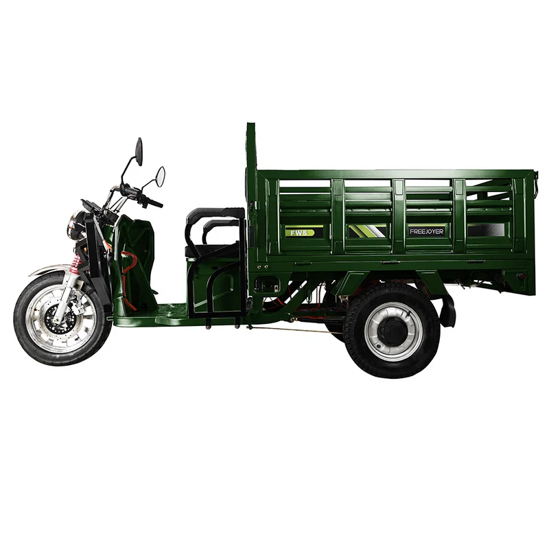 Freejoyer FW5 Electric Tricycle 3000W Motor 72V 58Ah Battery