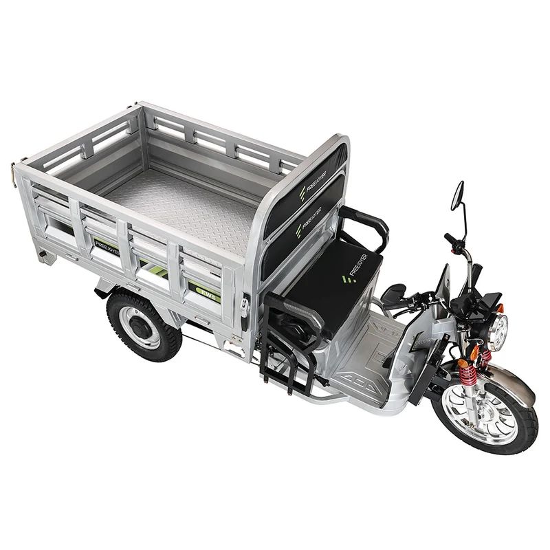 Freejoyer FW5 Electric Tricycle 3000W Motor 72V 58Ah Battery