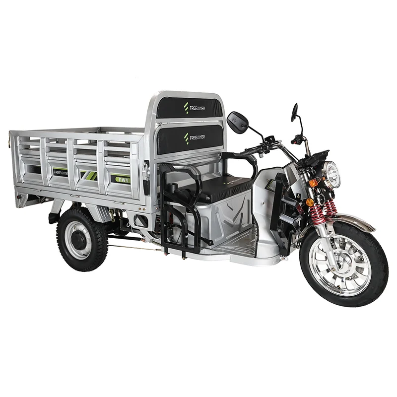 Freejoyer FW5 Electric Tricycle 3000W Motor 72V 58Ah Battery