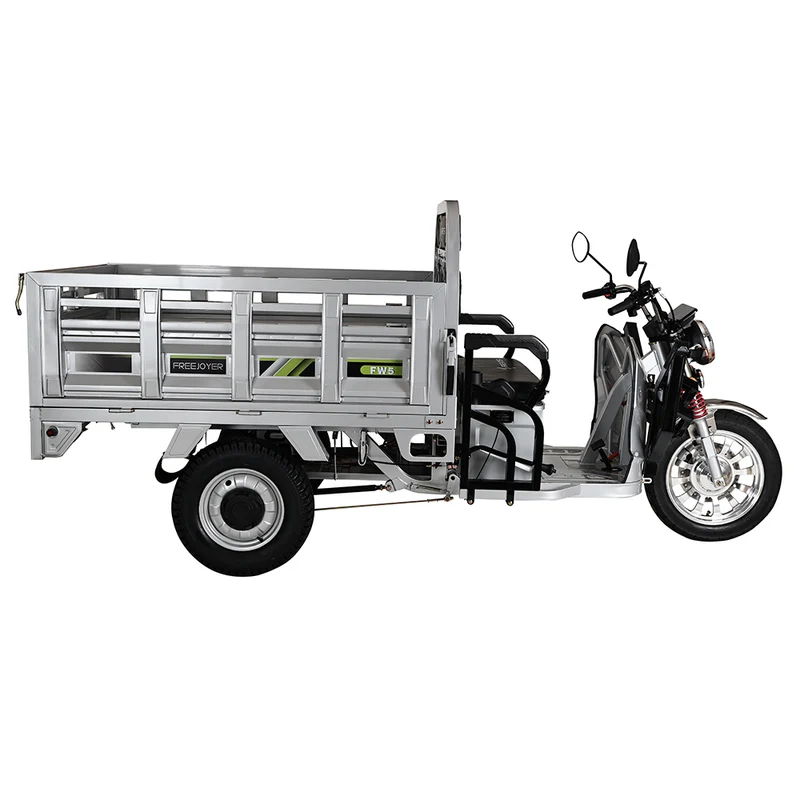 Freejoyer FW5 Electric Tricycle 3000W Motor 72V 58Ah Battery