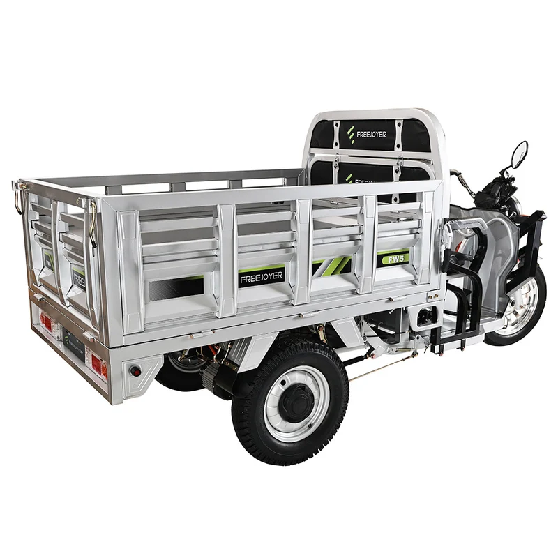 Freejoyer FW5 Electric Tricycle 3000W Motor 72V 58Ah Battery