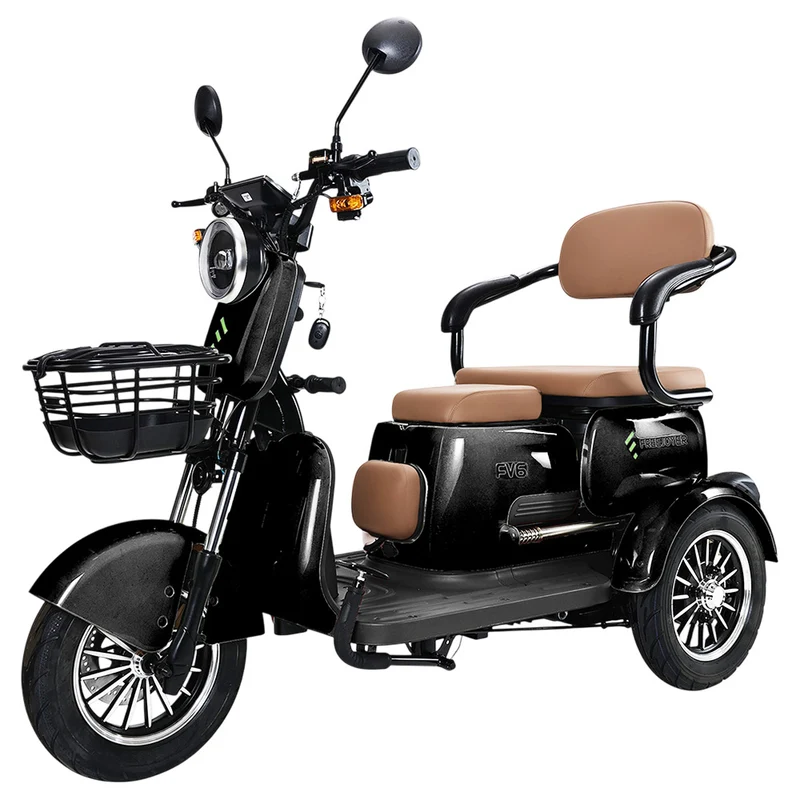 Freejoyer FV6 Electric Tricycle 1000W Motor 60V 20Ah Battery