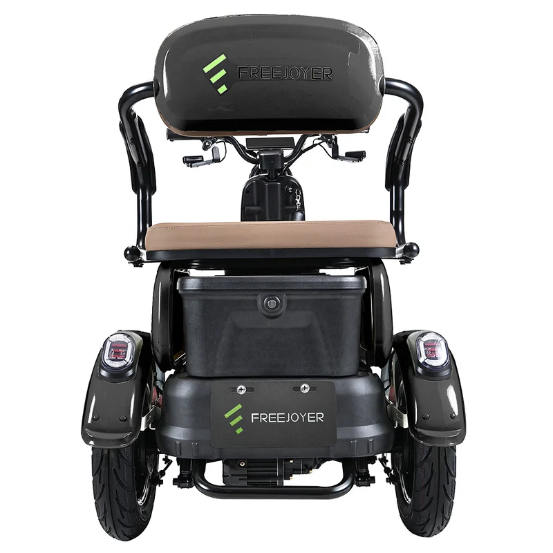 Freejoyer FV6 Electric Tricycle 1000W Motor 60V 20Ah Battery