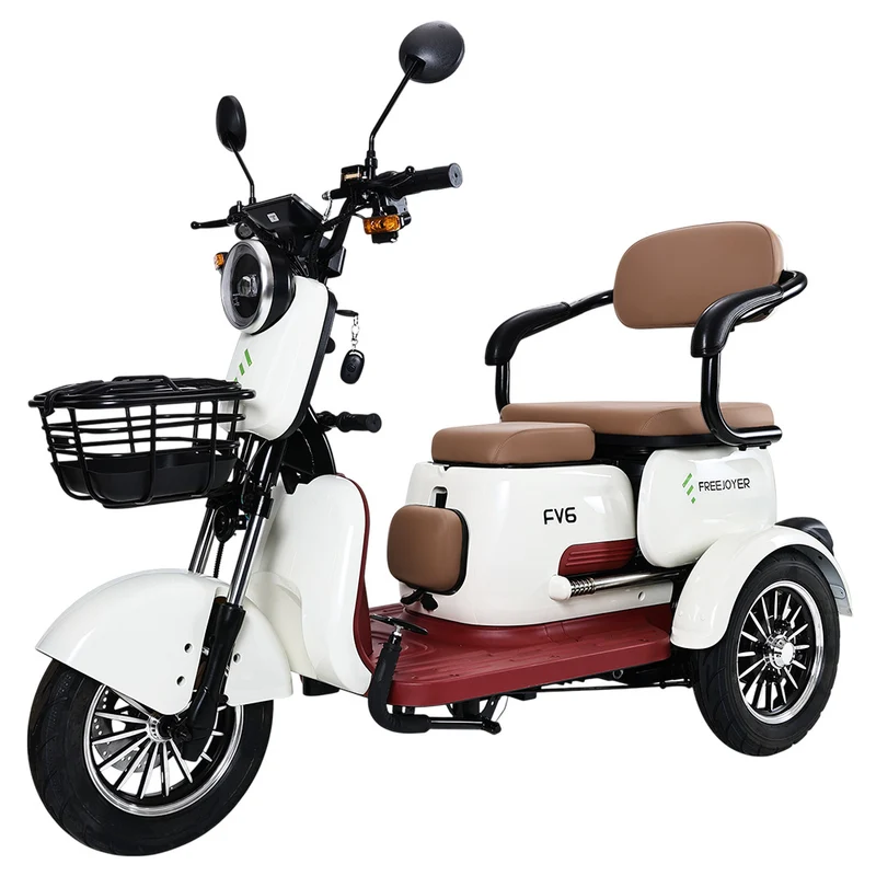 Freejoyer FV6 Electric Tricycle 1000W Motor 60V 20Ah Battery