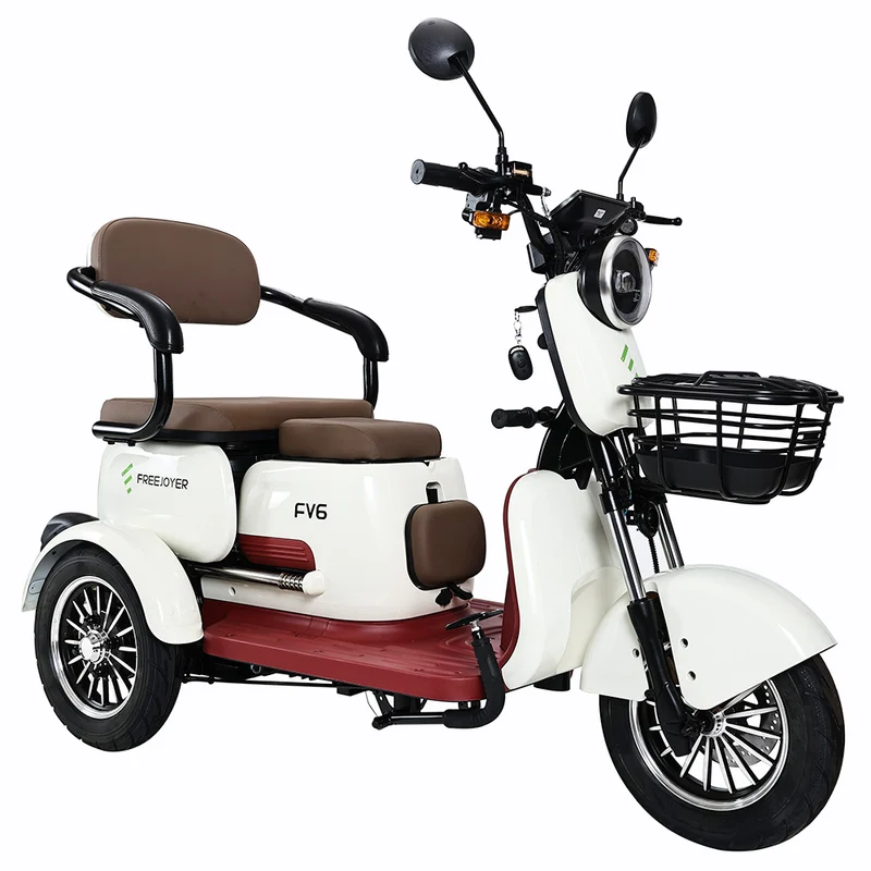Freejoyer FV6 Electric Tricycle 1000W Motor 60V 20Ah Battery