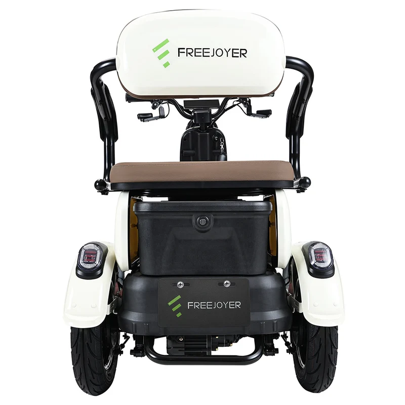 Freejoyer FV6 Electric Tricycle 1000W Motor 60V 20Ah Battery