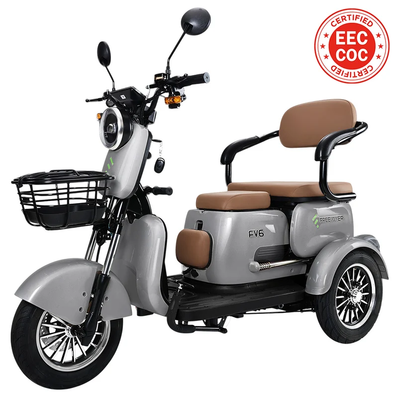 Freejoyer FV6 Electric Tricycle 1000W Motor 60V 20Ah Battery