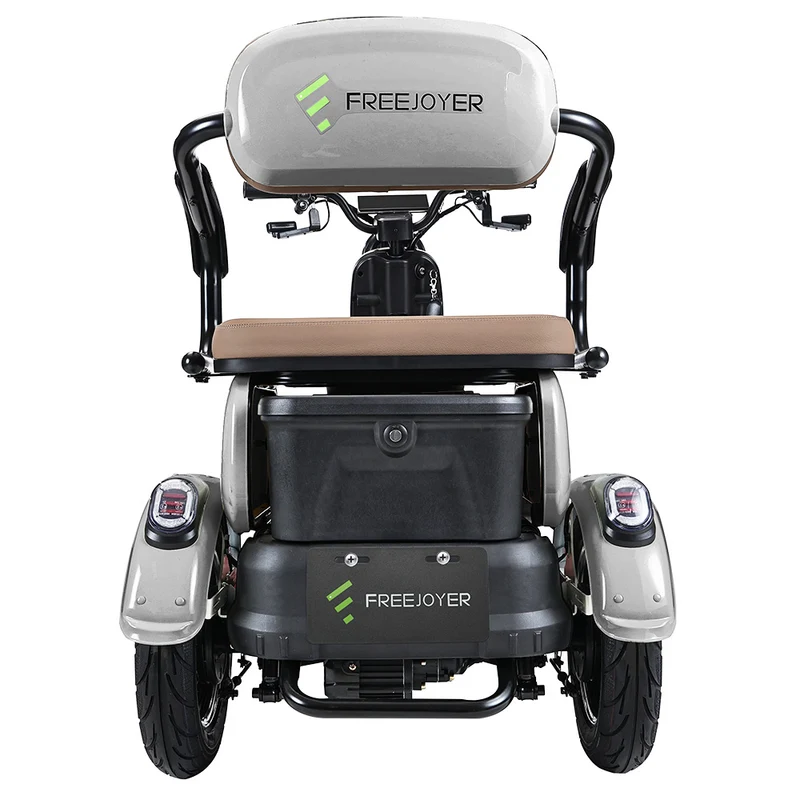 Freejoyer FV6 Electric Tricycle 1000W Motor 60V 20Ah Battery