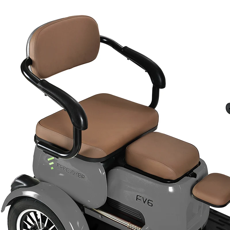 Freejoyer FV6 Electric Tricycle 1000W Motor 60V 20Ah Battery