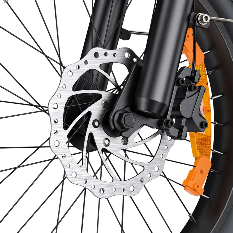 ENGWE L20 3.0 Boost Electric Bike 250W Motor 48V 13.5Ah Battery