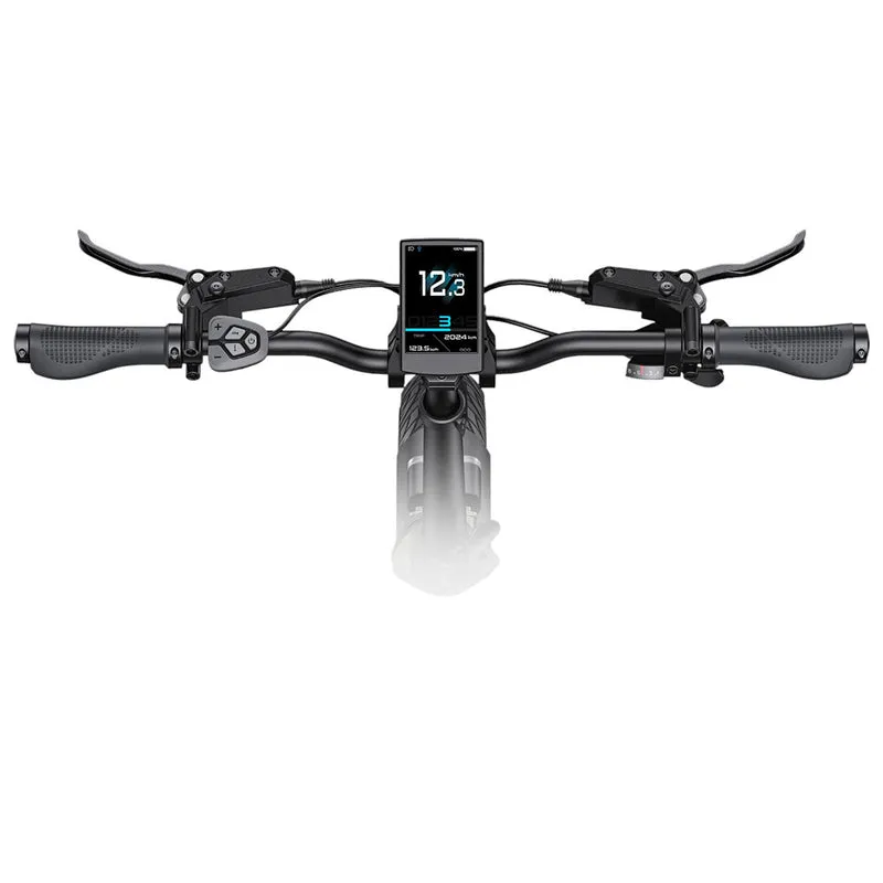 ENGWE L20 3.0 Pro Electric Bike 20" Tires 250W Mid-Drive Motor 48V 15Ah Battery