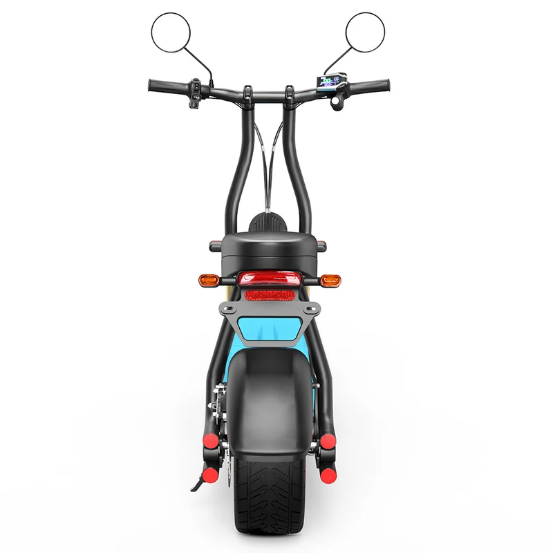 Honey Whale M5 Max Electric Scooter with Seat 14" Tires 1000Ｗ 48V 13Ah Battery