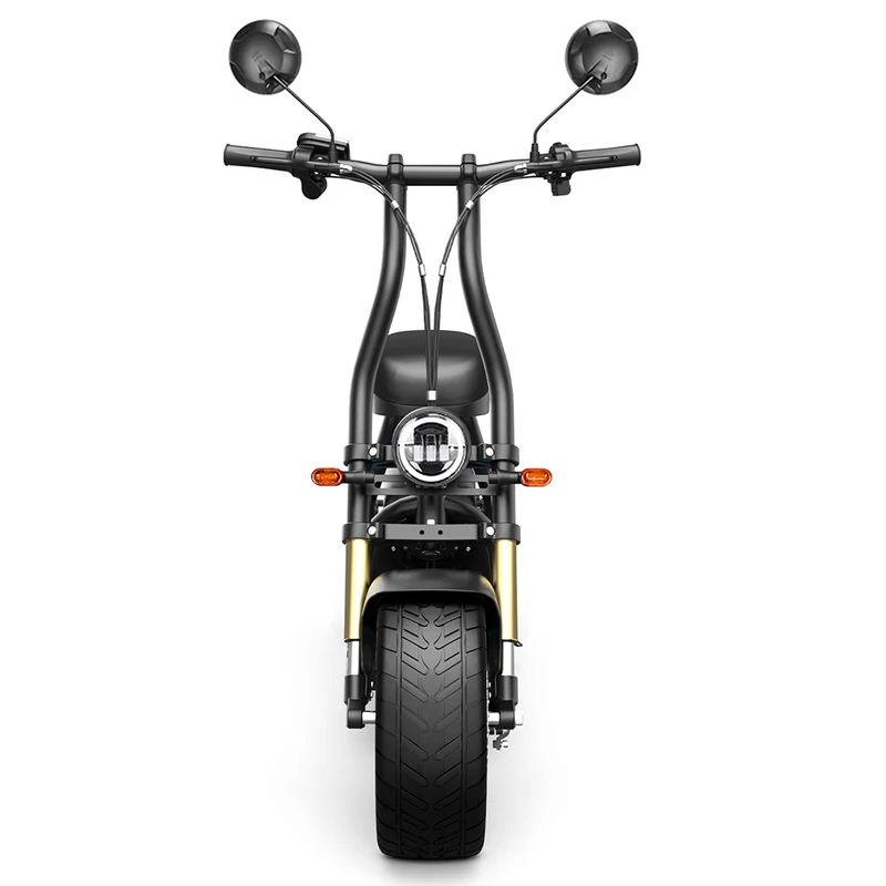 Honey Whale M5 Max Electric Scooter with Seat 14" Tires 1000Ｗ 48V 13Ah Battery