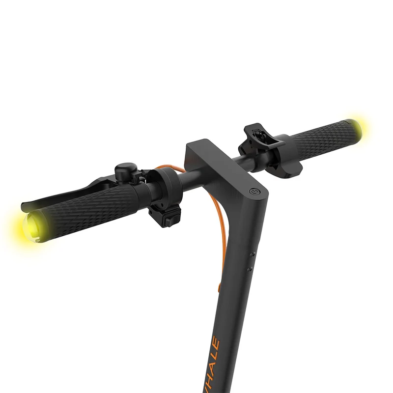 Honey Whale M2 MAX-B Electric Scooter with Seat 10" Tires 500W 12.5AH Battery