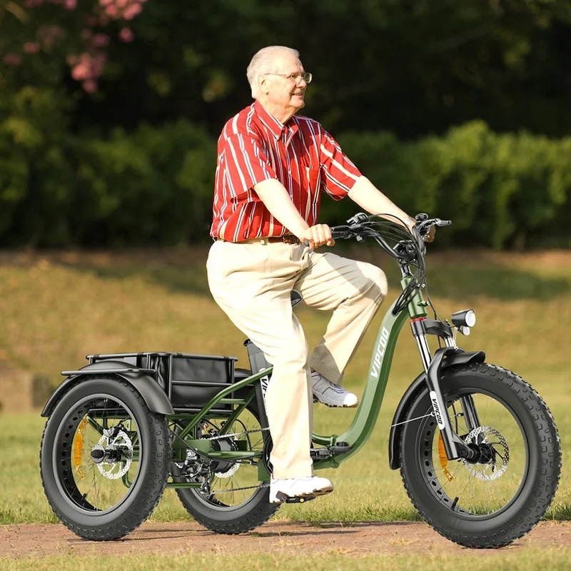 Vipcoo VC-ET1 Electric Cargo Tricycle 20" Tires 750W 48V 20Ah