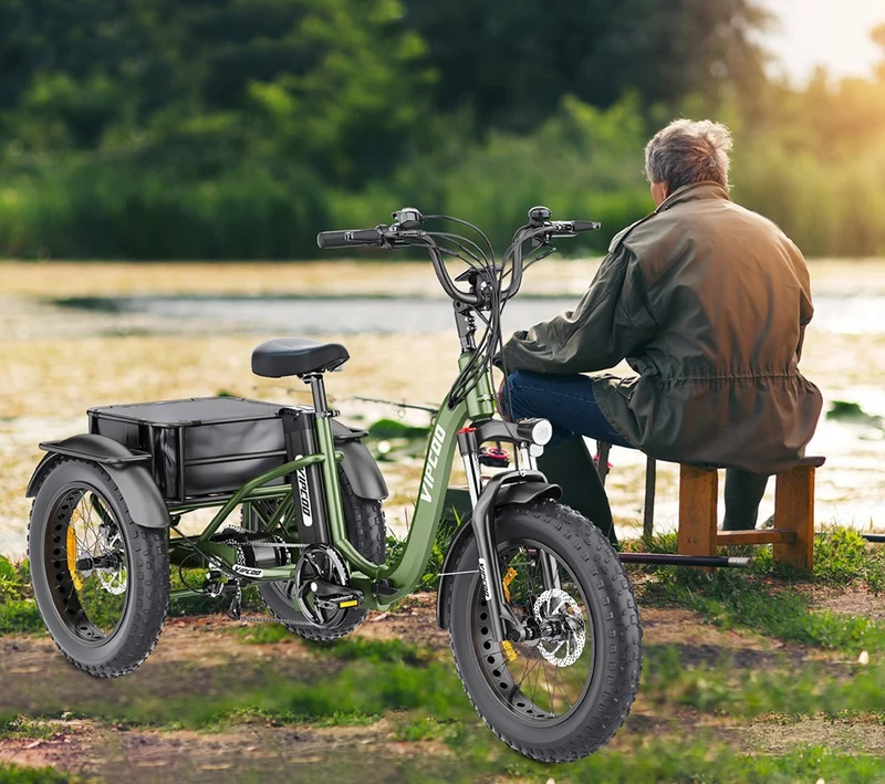 Vipcoo VC-ET1 Electric Cargo Tricycle 20" Tires 750W 48V 20Ah