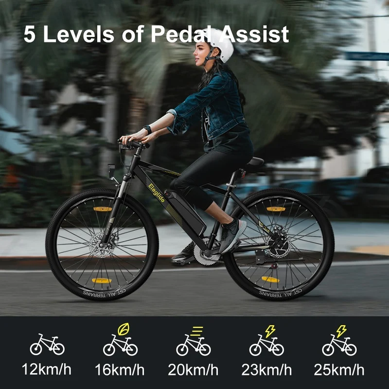 2-Pack Eleglide M1 Plus Electric Mountain Bike Offer
