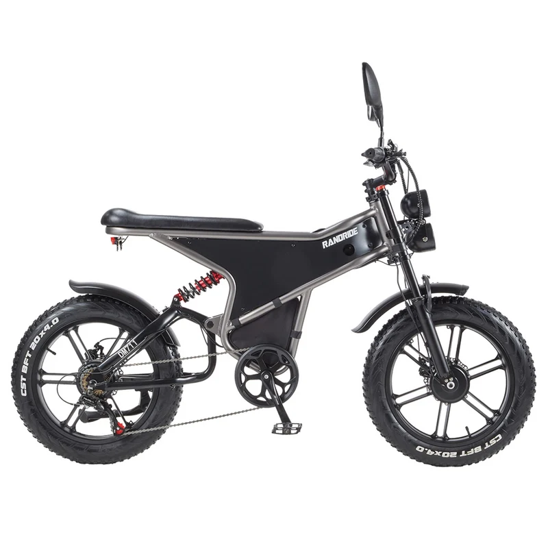 RANDRIDE DM711 Electric Dirt Bike 20" Off-Road Fat Tires Dual 1000W Motor