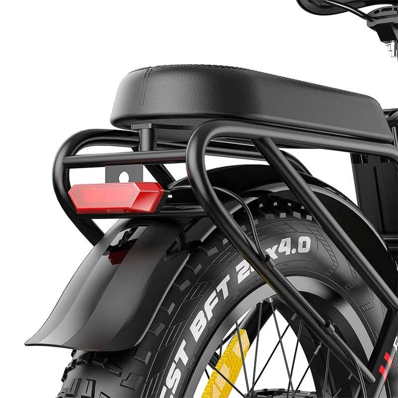 2-Pack Fafrees F20 Max Electric Bike Offer