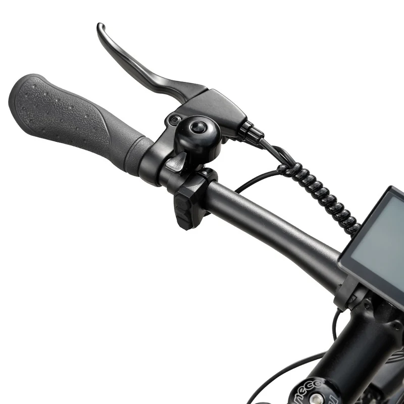 2-Pack Eleglide T1 Electric Trekking Bike Offer