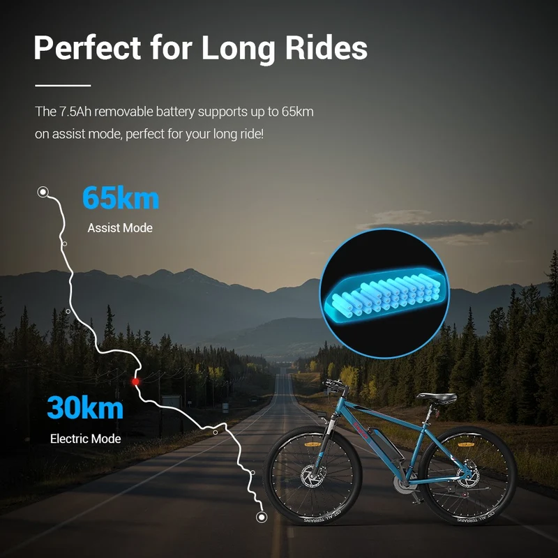 2-Pack Eleglide M1 Electric Montain Bike Offer