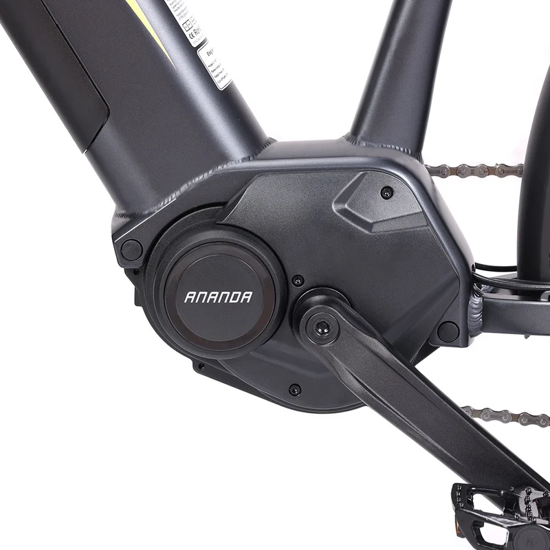 2-Pack Eleglide C1 Step-Thru Electric Trekking Bike Offer